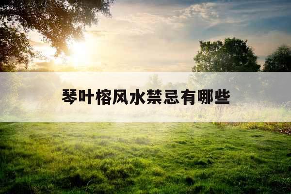 琴叶榕风水禁忌有哪些