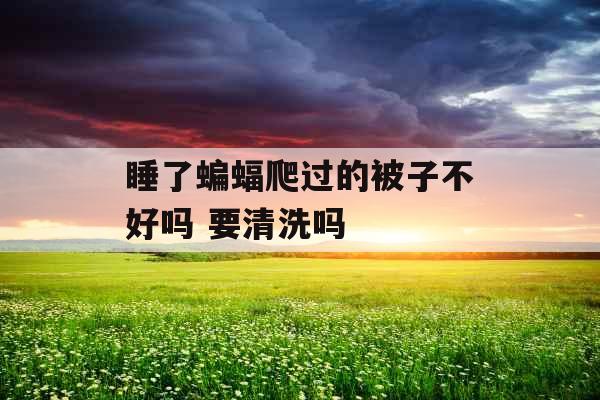 睡了蝙蝠爬过的被子不好吗 要清洗吗