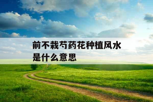 前不栽芍药花种植风水是什么意思