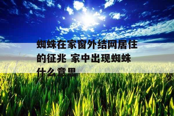 蜘蛛在家窗外结网居住的征兆 家中出现蜘蛛什么意思