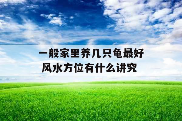 一般家里养几只龟最好 风水方位有什么讲究