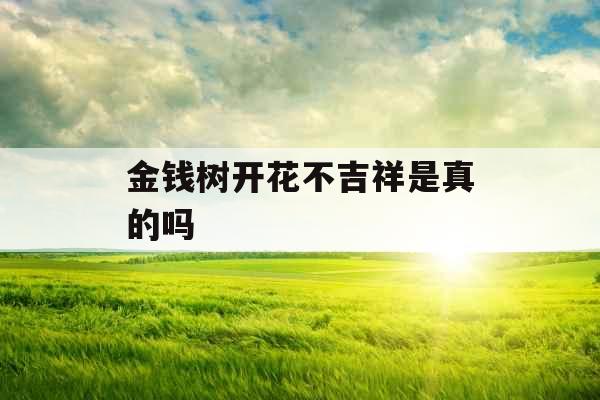 金钱树开花不吉祥是真的吗 金钱树开花不吉祥是真的吗