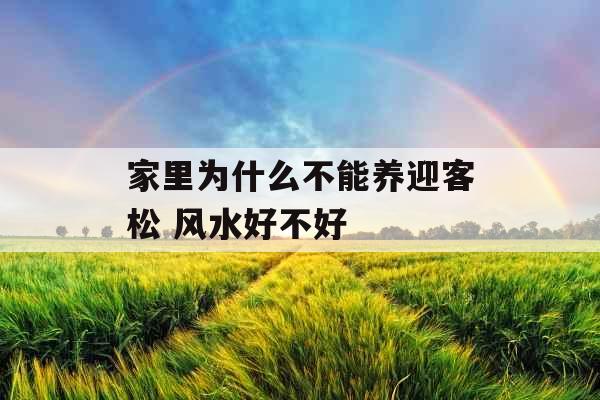 家里为什么不能养迎客松 风水好不好