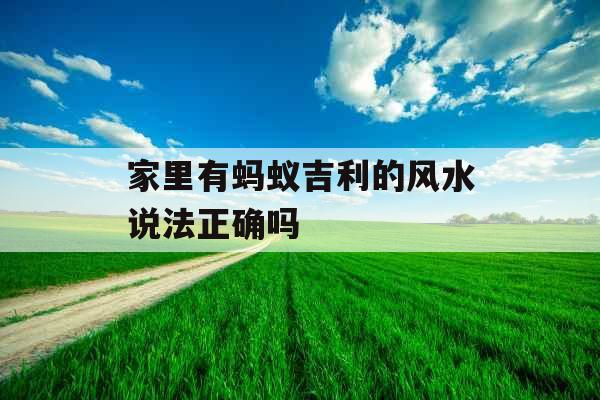家里有蚂蚁吉利的风水说法正确吗