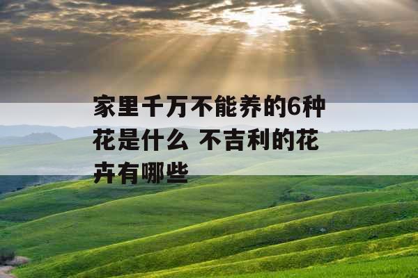 家里千万不能养的6种花是什么 不吉利的花卉有哪些