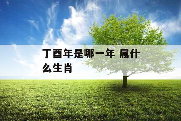 丁酉年是哪一年 属什么生肖