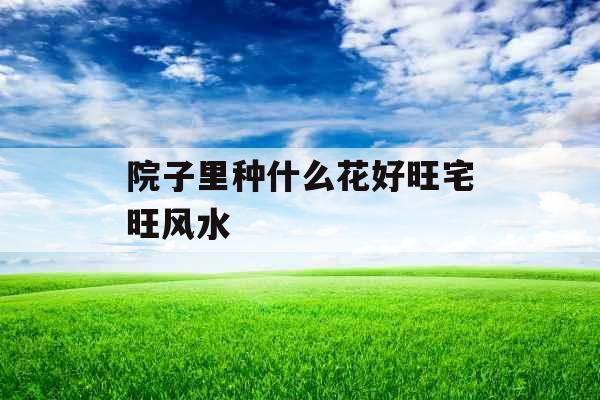 院子里种什么花好旺宅旺风水