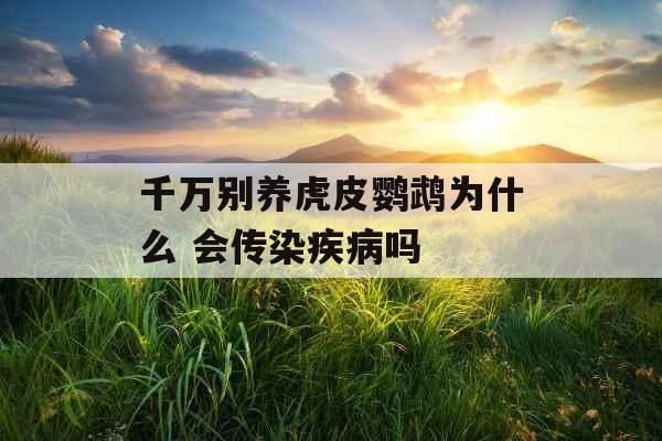 千万别养虎皮鹦鹉为什么 会传染疾病吗