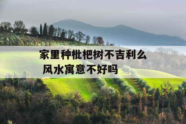 家里种枇杷树不吉利么 风水寓意不好吗
