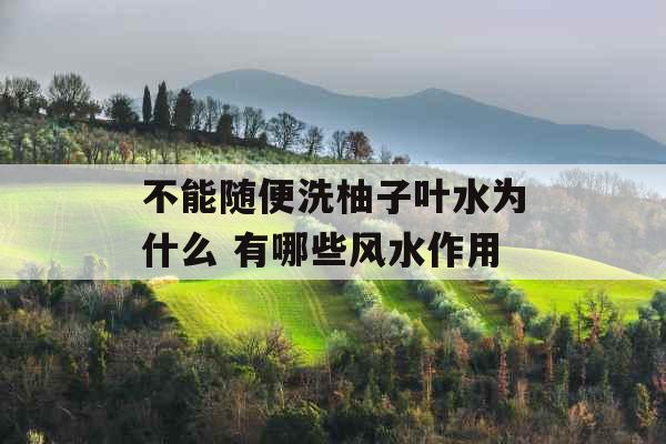 不能随便洗柚子叶水为什么 有哪些风水作用