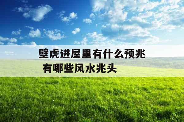 壁虎进屋里有什么预兆 有哪些风水兆头