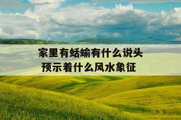 家里有蛞蝓有什么说头 预示着什么风水象征