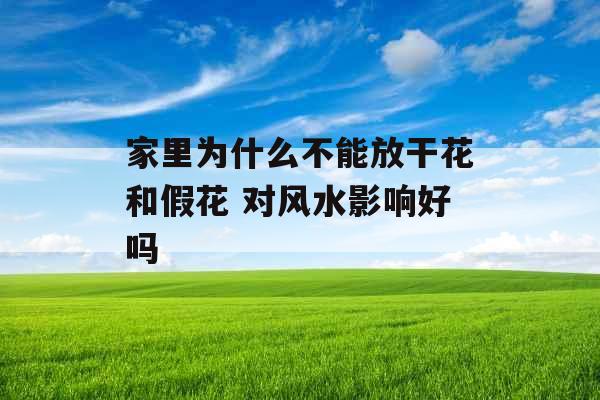 家里为什么不能放干花和假花 对风水影响好吗 家里为什么不能放干花和假花 对风水影响好吗