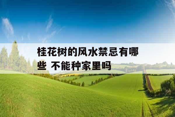 桂花树的风水禁忌有哪些 不能种家里吗