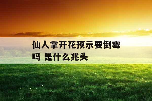 仙人掌开花预示要倒霉吗 是什么兆头