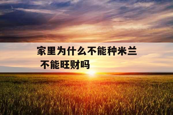 家里为什么不能种米兰 不能旺财吗