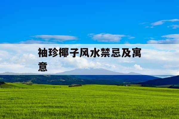 袖珍椰子风水禁忌及寓意