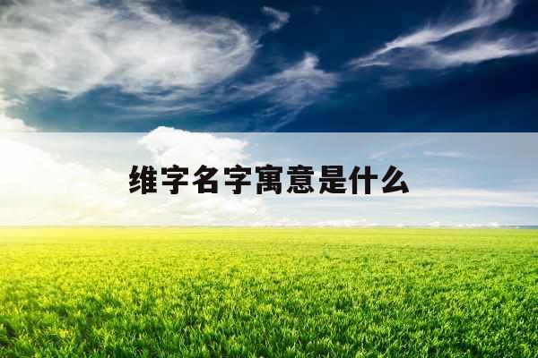 维字名字寓意是什么
