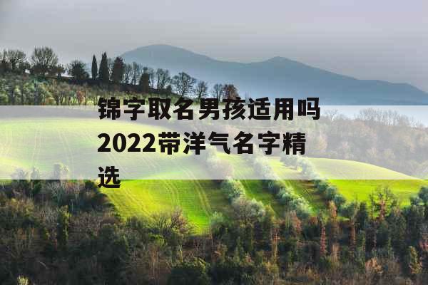 锦字取名男孩适用吗 2022带洋气名字精选