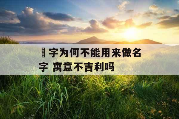 洢字为何不能用来做名字 寓意不吉利吗 洢字为何不能用来做名字 寓意不吉利吗