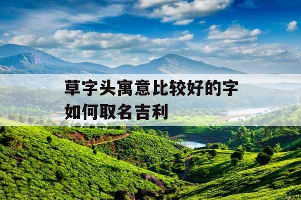 草字头寓意比较好的字如何取名吉利