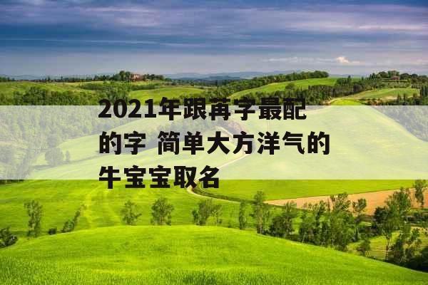 2021年跟苒字最配的字 简单大方洋气的牛宝宝取名