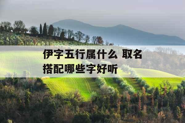 伊字五行属什么 取名搭配哪些字好听