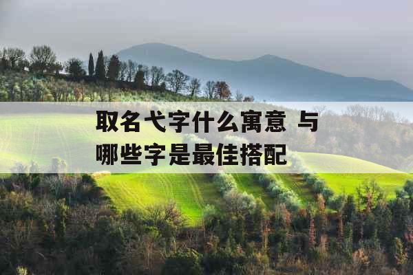 取名弋字什么寓意 与哪些字是最佳搭配