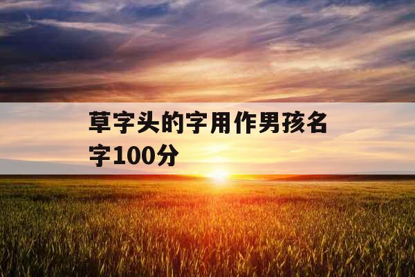草字头的字用作男孩名字100分 草字头的字用作男孩名字100分