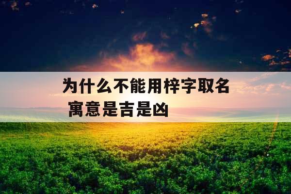 为什么不能用梓字取名 寓意是吉是凶
