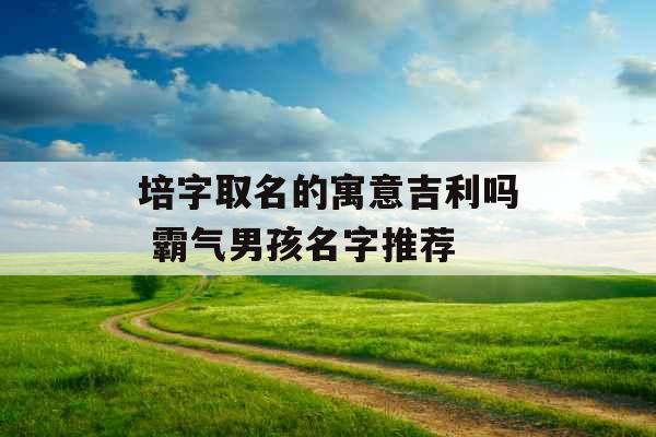 培字取名的寓意吉利吗 霸气男孩名字推荐