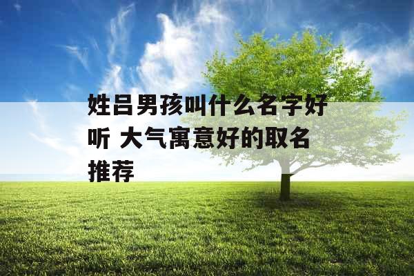 姓吕男孩叫什么名字好听 大气寓意好的取名推荐