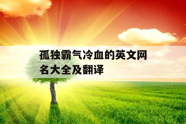 孤独霸气冷血的英文网名大全及翻译