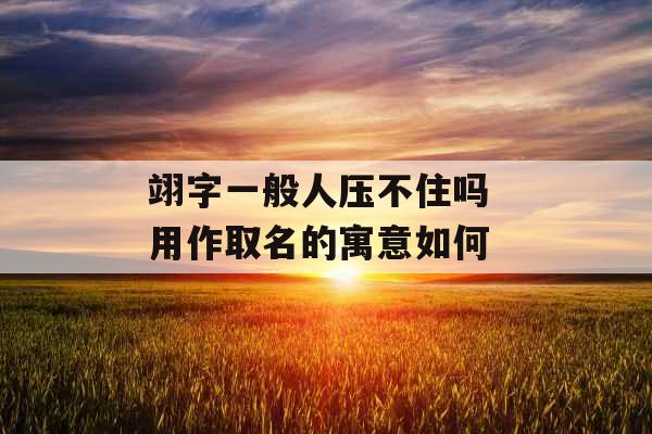 翊字一般人压不住吗 用作取名的寓意如何
