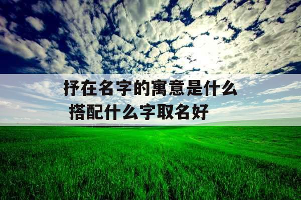 抒在名字的寓意是什么 搭配什么字取名好
