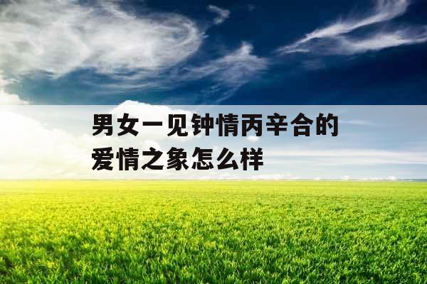 男女一见钟情丙辛合的爱情之象怎么样