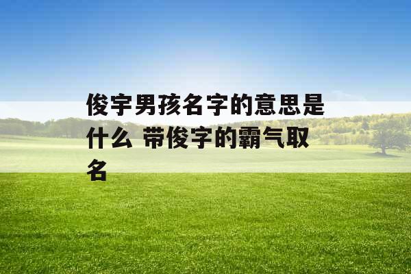 俊宇男孩名字的意思是什么 带俊字的霸气取名