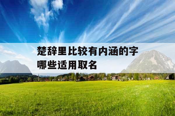 楚辞里比较有内涵的字哪些适用取名