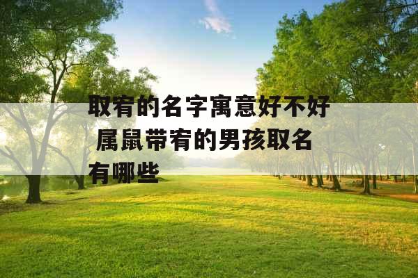 取宥的名字寓意好不好 属鼠带宥的男孩取名有哪些 取宥的名字寓意好不好 属鼠带宥的男孩取名有哪些
