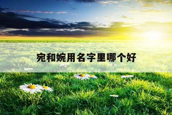 宛和婉用名字里哪个好