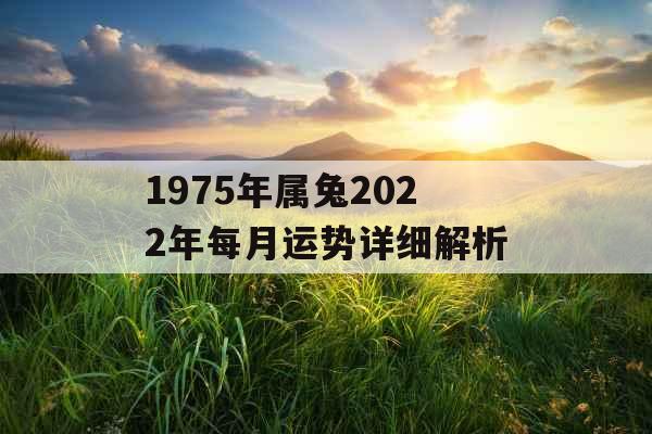 1975年属兔2022年每月运势详细解析
