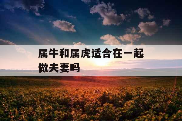 属牛和属虎适合在一起做夫妻吗