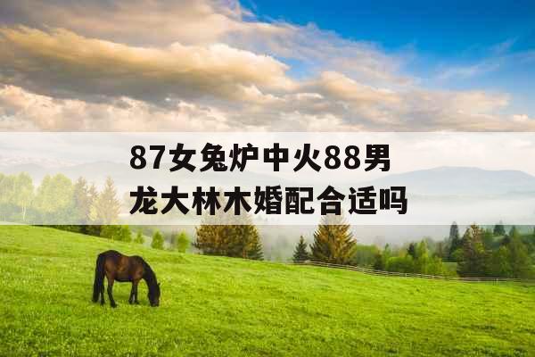 87女兔炉中火88男龙大林木婚配合适吗