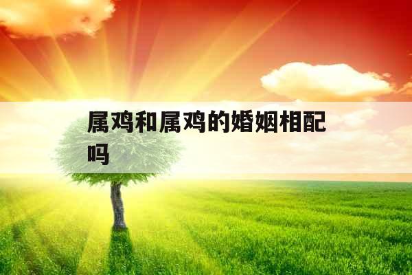 属鸡和属鸡的婚姻相配吗