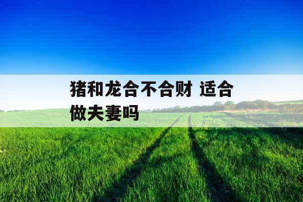 猪和龙合不合财 适合做夫妻吗