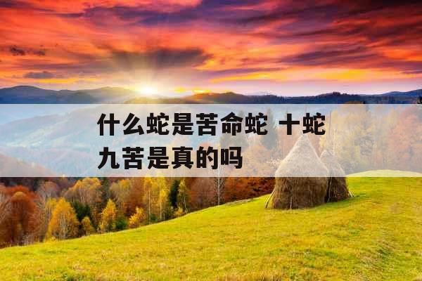 什么蛇是苦命蛇 十蛇九苦是真的吗