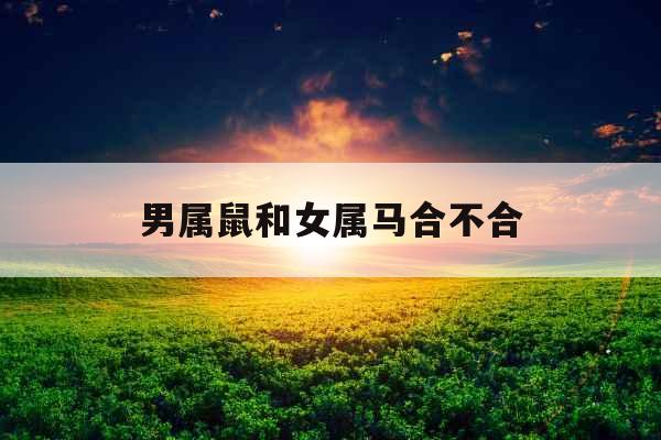 男属鼠和女属马合不合