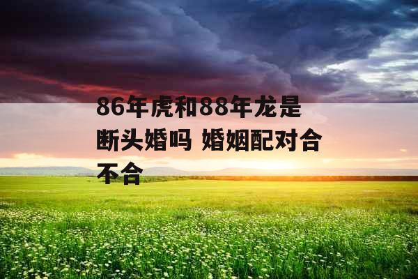 86年虎和88年龙是断头婚吗 婚姻配对合不合