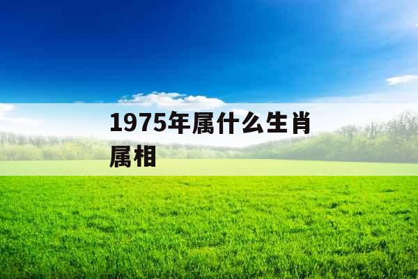 1975年属什么生肖属相