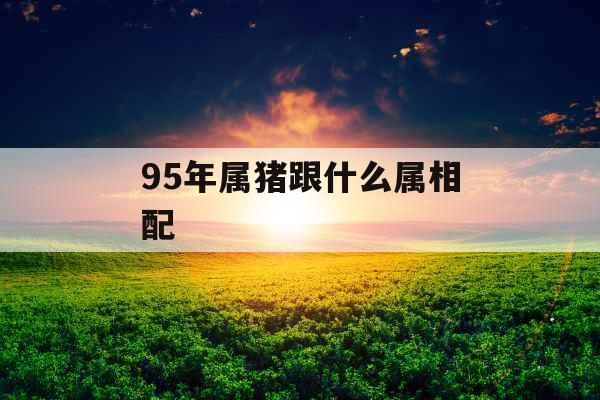 95年属猪跟什么属相配 95年属猪跟什么属相配